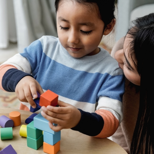 add-adhd-flourishing-lives-occupational-therapy-st-claire-shores-mi