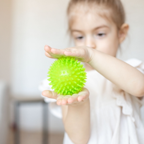 excessive-response-to-sensory-input-flourishing-lives-occupational-therapy-st-claire-shores-mi