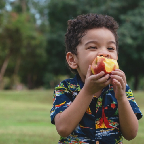 feeding-challenges-flourishing-lives-occupational-therapy-st-claire-shores-mi – 1