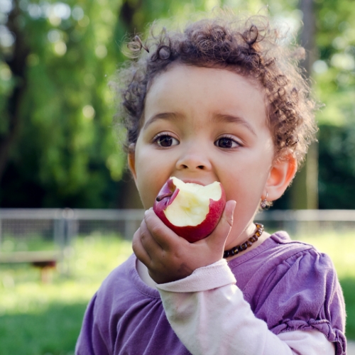 food-aversions-feeding-disorders-flourishing-lives-occupational-therapy-st-claire-shores-mi