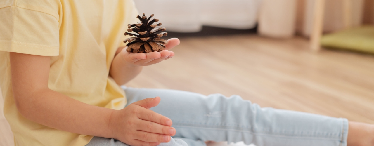 neurodevelopment-treatment-techniques-flourishing-lives-occupational-therapy-st-claire-shores-mi