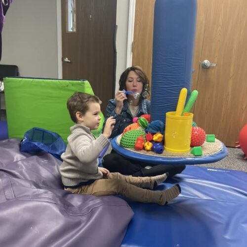 our-practice-Flourishing-lives-St-Clair -Shores-MI