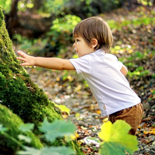 sensory-processing-disorder-flourishing-lives-occupational-therapy-st-claire-shores-mi