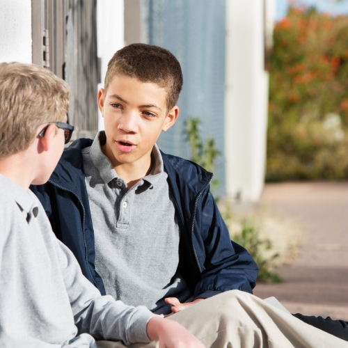 social-skills-flourishing-lives-occupational-therapy-st-claire-shores-mi