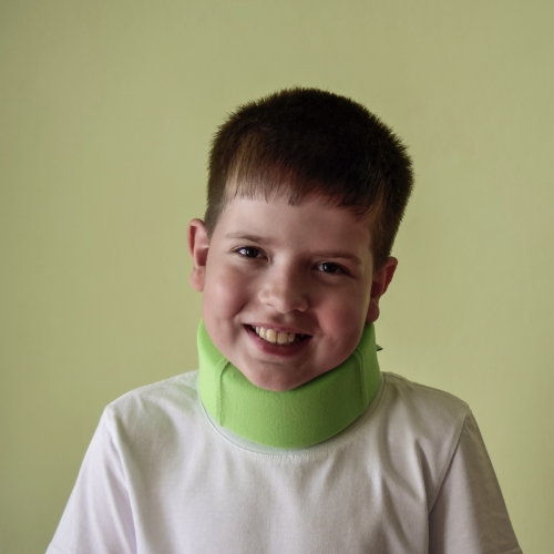 tortilcollis-flourishing-lives-occupational-therapy-st-claire-shores-mi – 1