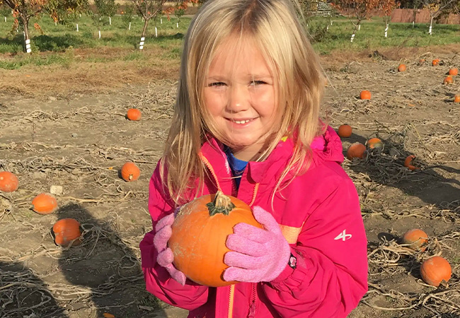 Fall is the Season for Heavy Work Activities