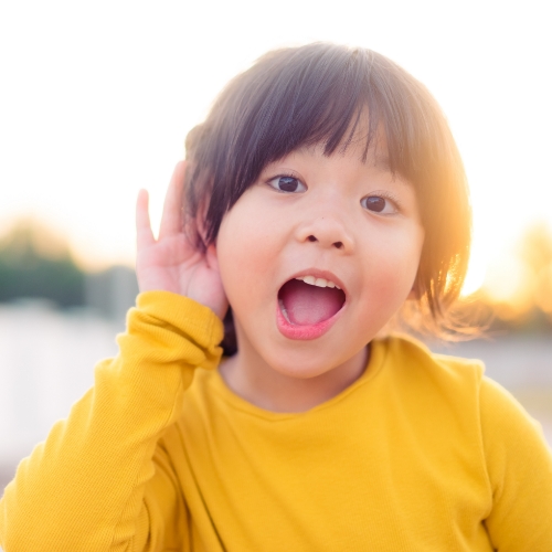 Auditory-Processing-Disorder-Flourishing-Lives-St-Clair-Shores-MI-500x500
