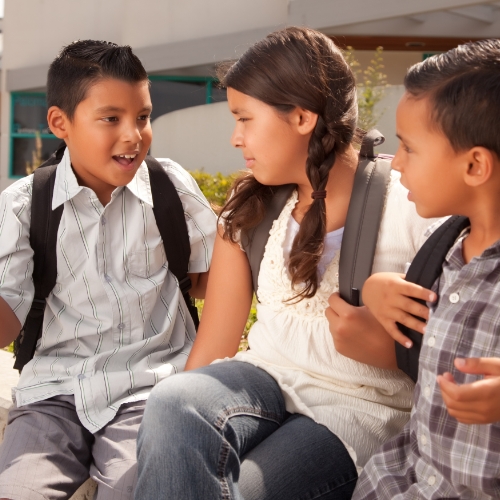 Social-Communication-Therapy-Flourishing-Lives-St-Clair-Shores-MI-500x500