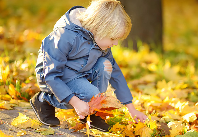 The After-School Regulation Reset