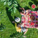 picnic