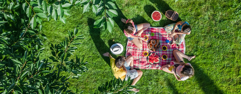 picnic